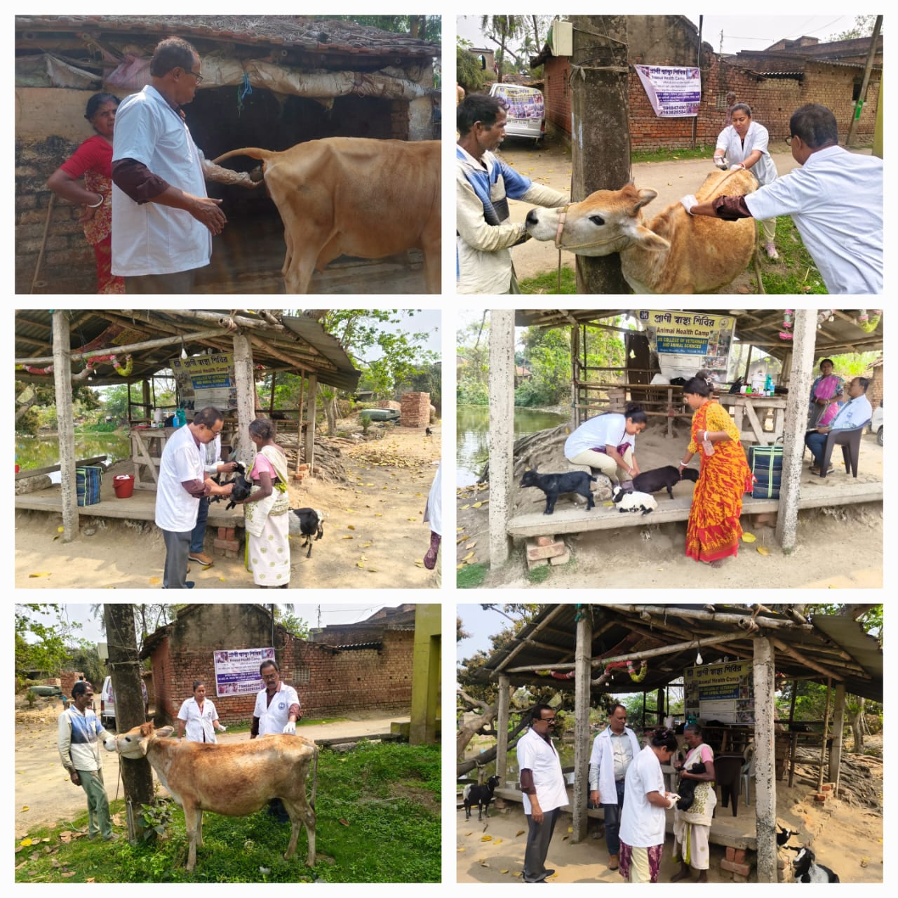 57th ANIMAL HEALTH CAMP