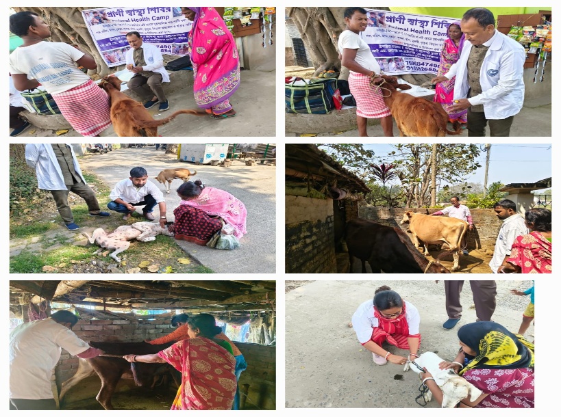 53rd ANIMAL HEALTH CAMP