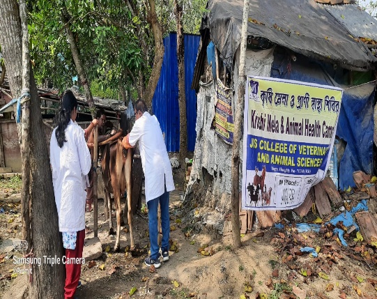 3rd ANIMAL HEALTH CAMP