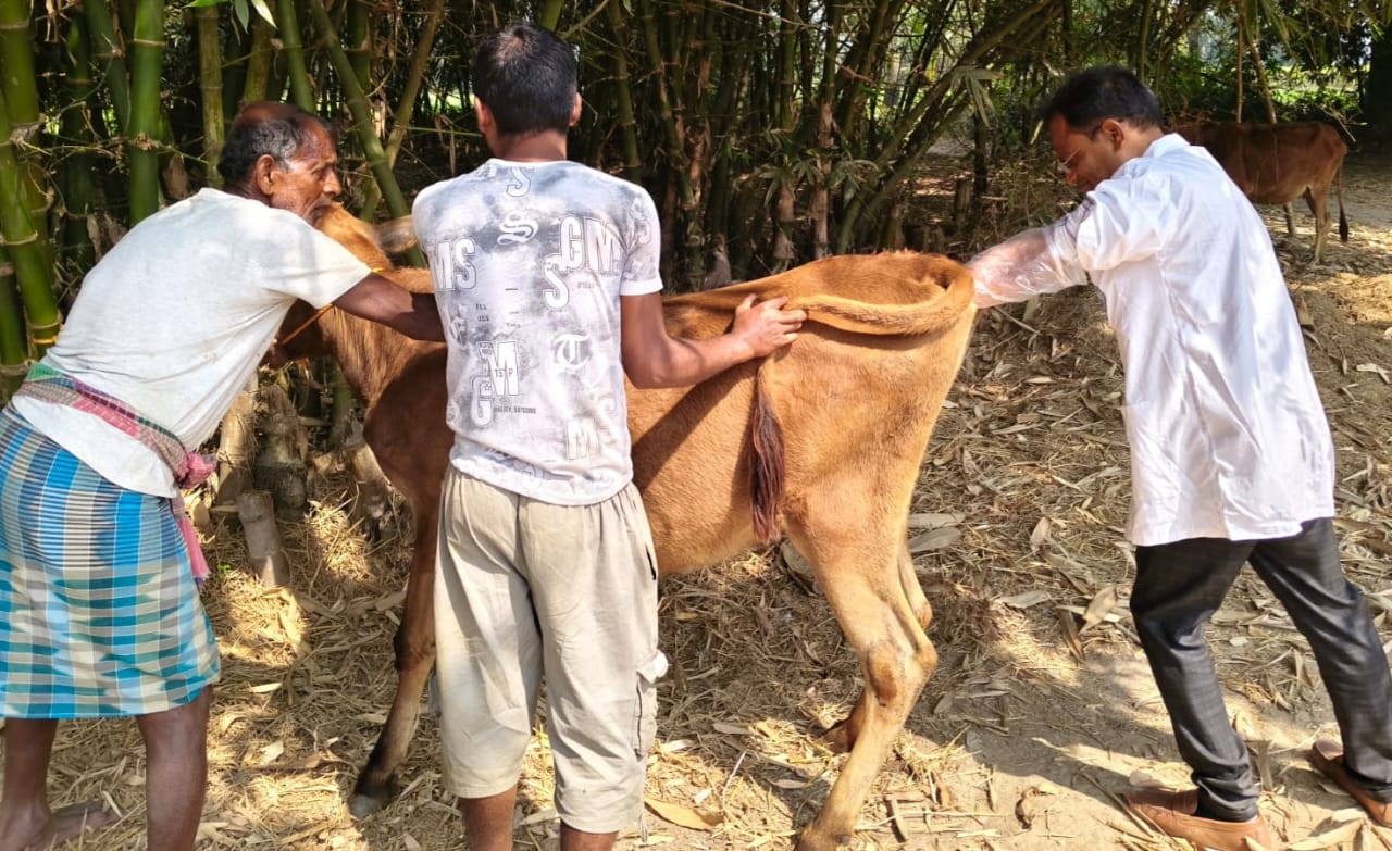 54th ANIMAL HEALTH CAMP