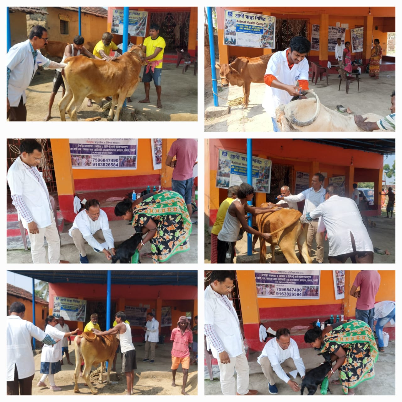 56th ANIMAL HEALTH CAMP