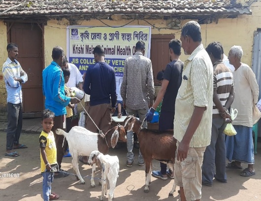 5th Animal Health Camp