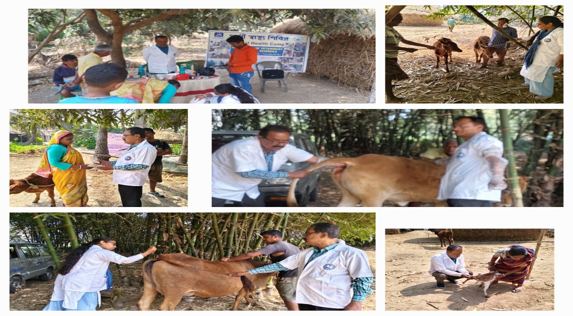 52nd ANIMAL HEALTH CAMP