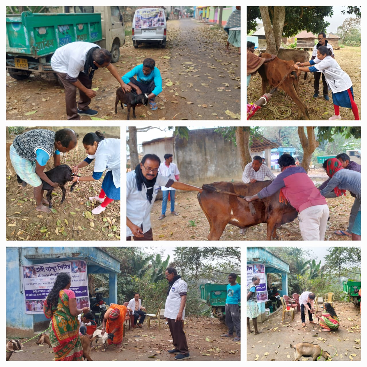 55th ANIMAL HEALTH CAMP