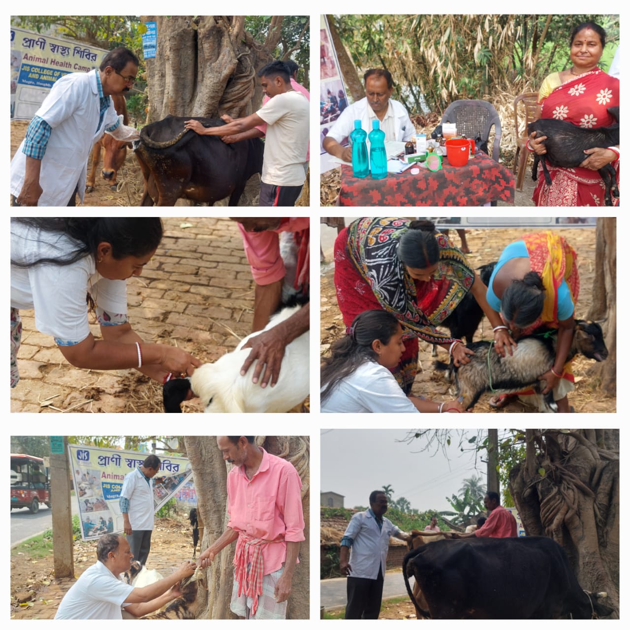 58th ANIMAL HEALTH CAMP